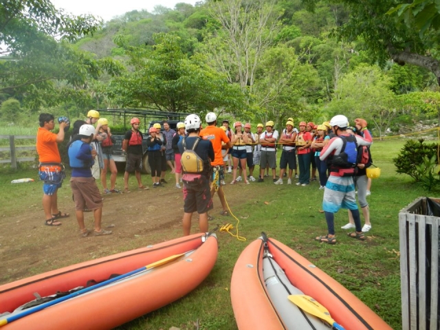  Kayaks in the jungle 